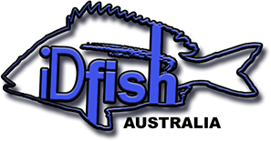 iDfish Australia
